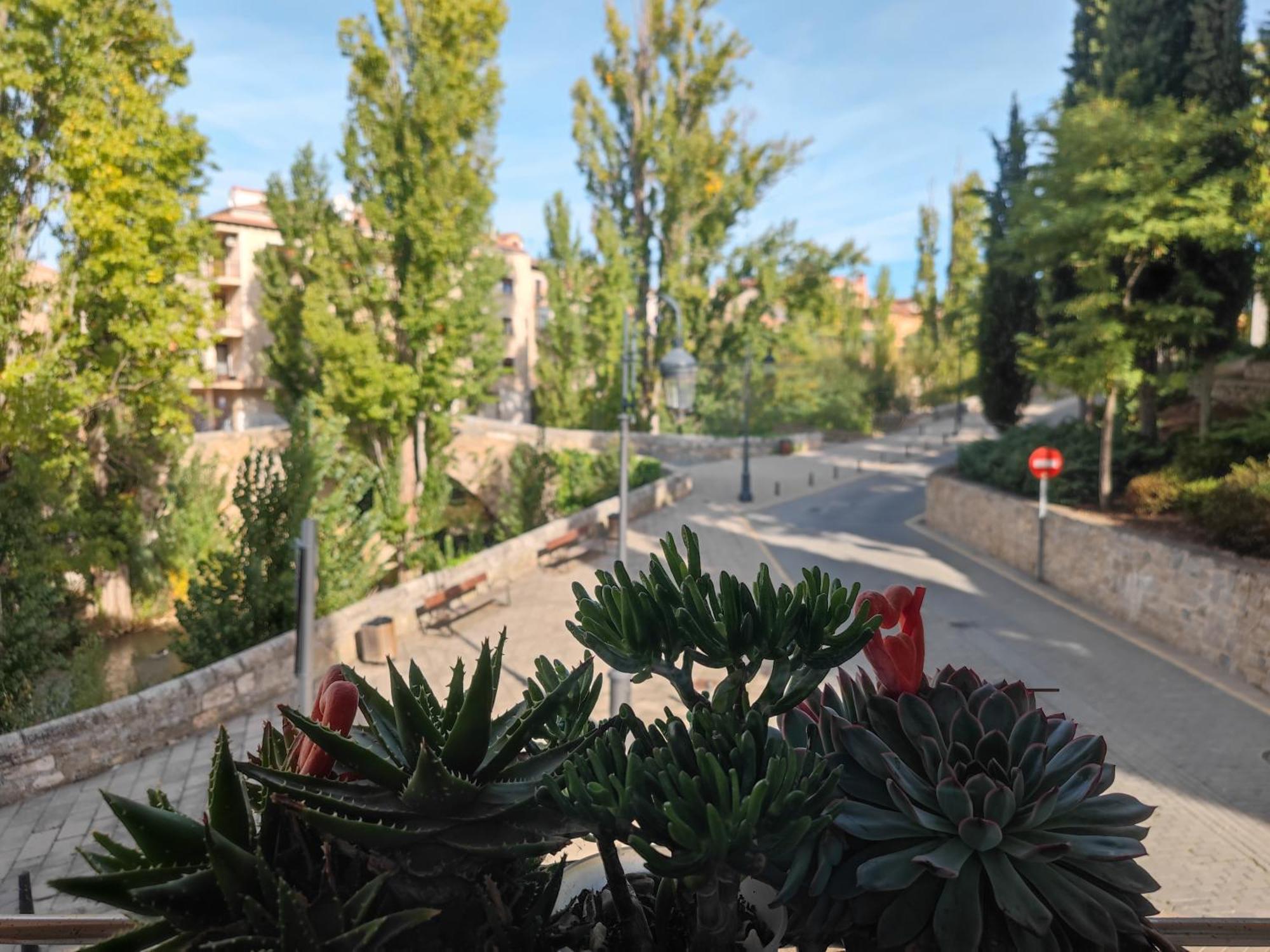 Alojamiento Mirabuenos Aranda de Duero Esterno foto